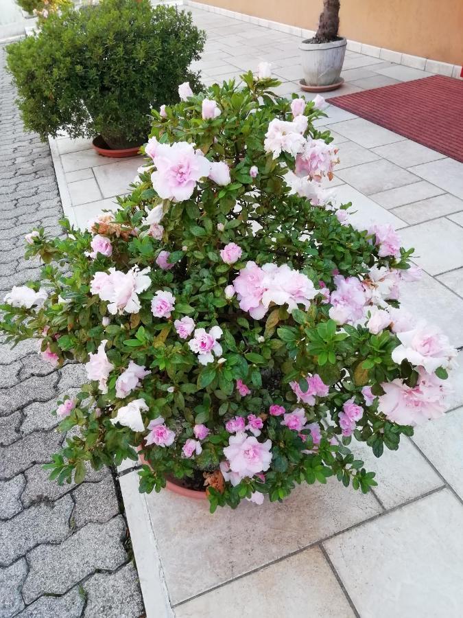 Alloggio Cristina Valdobbiadene Buitenkant foto