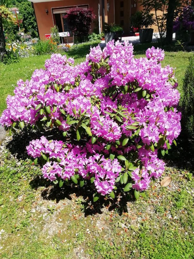 Alloggio Cristina Valdobbiadene Buitenkant foto